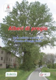Alberi di pregio - Comune di Reggio Emilia