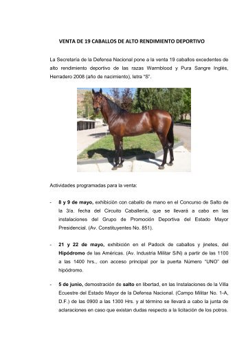 VENTA DE 19 CABALLOS DE ALTO RENDIMIENTO DEPORTIVO