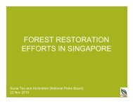 FOREST RESTORATION EFFORTS IN SINGAPORE