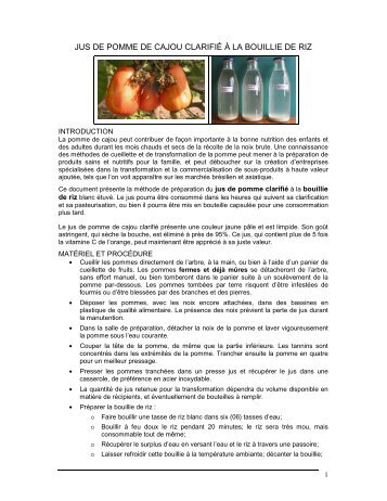 Jus de pomme clarifiÃ© - bouillie de riz - Le Portail Cajou BÃ©nin