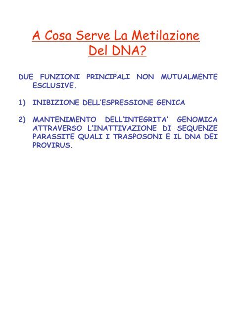 Metilazione del DNA - CusMiBio