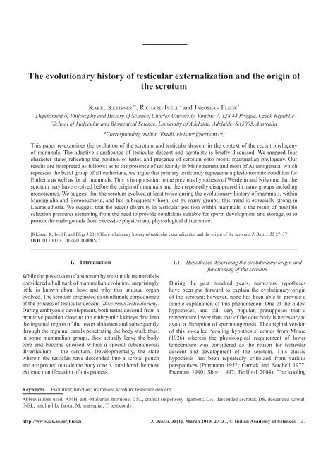 The evolutionary history of testicular externalization and the origin of ...