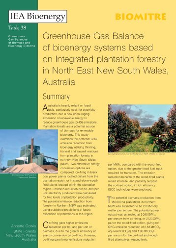 brochure - the IEA Bioenergy Task 38 Website