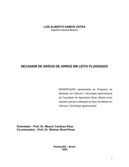 SECAGEM DE GRÃOS DE ARROZ EM LEITO FLUIDIZADO