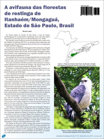 A avifauna das florestas de restinga de Itanhaém/Mongaguá, Estado ...