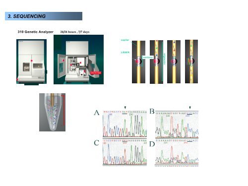 Molecular epidemiology of HCV - Viral Hepatitis Prevention Board