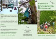 Flyer PDF-Datei zum download. - Laubfrosch Waldkindergarten ...
