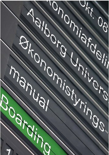 Ãkonomistyringsmanual