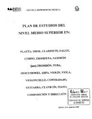 PLAN DE ESTUDIOS DEL NIVEL MEDIO SUPERIOR EN: - Escuela ...