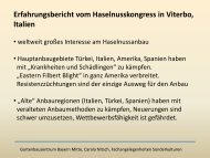 Erfahrungsbericht vom Haselnusskongress in Viterbo, Italien