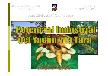 Potencial Industrial del yacón y la tara - PDRS