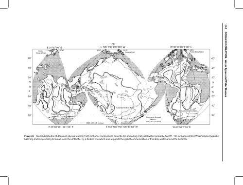 Ocean Circulation - Water Types and Water Masses