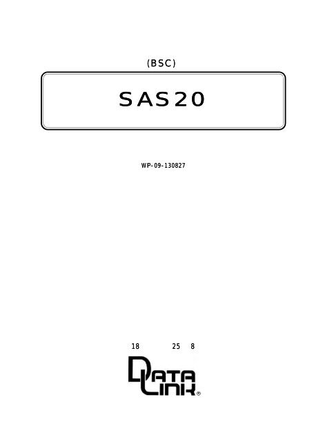 SAS20.PDF(500kbyte)