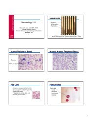 Aplastic Anemia Peripheral Blood