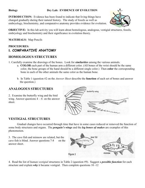 lab-evidence-of-evolution-keller-isd-schools