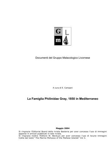 La Famiglia Philinidae Gray, 1850 in Mediterraneo - SocietÃƒÂ  Italiana ...