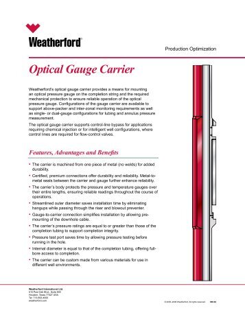 Optical Gauge Carrier - Weatherford International