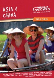 China - OBrochure