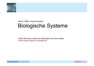 Vortrag "Biologische Systeme" - Technische Kybernetik