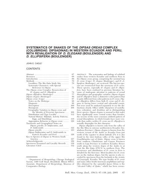 systematics of snakes of the dipsas oreas complex - BioOne