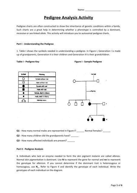 How To Make And Analyze A Pedigree Chart Answer Key