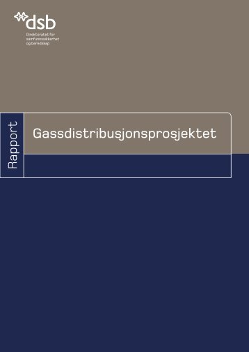 Gassdistribusjonsprosjektet - Direktoratet for samfunnssikkerhet og ...