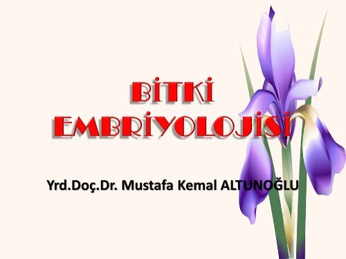 Bitki Embriyolojisi 1