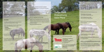 ZeitgemÃ¤ÃŸe Entwurmung beim Pferd - Tierarztpraxis in Thurmading