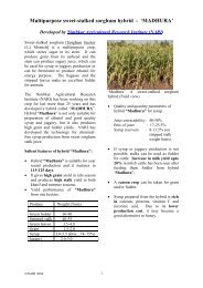 agronomy of sweet sorghum - NARI