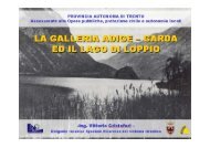 Galleria Adige-Garda Loppio.pdf - Servizio Bacini montani