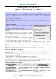 PDF - 1Mo - Réseau des tortues marines de Guadeloupe