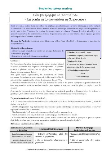 PDF - 1Mo - Réseau des tortues marines de Guadeloupe