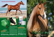 Masterhorse Hauptkatalog - Masterhorse - Die Pferdefutterexperten