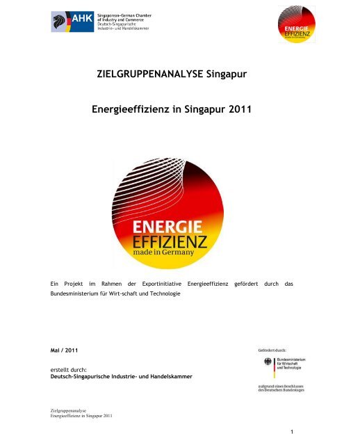 ZIELGRUPPENANALYSE Singapur Energieeffizienz in Singapur 2011