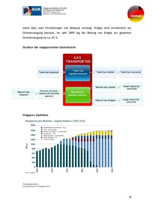 ZIELGRUPPENANALYSE Singapur Energieeffizienz in Singapur 2011