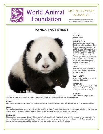 PANDA FACT SHEET - World Animal Foundation
