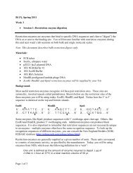 Restriction enzyme digestion Restriction enzymes are enzymes that ...