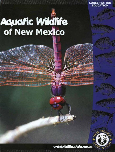 Aquatic Wildlife Coloring Book [PDF] - New Mexico Game and Fish