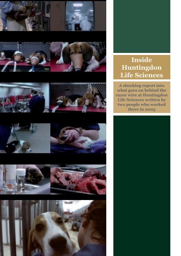 Inside Huntingdon Life Sciences : 2005 - SHAC >> Stop Huntingdon ...