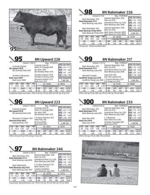 Annual Bull Sale - Ballyhoo Printing