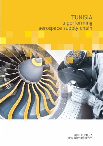 Tunisia, a performing aerospace supply chain - Invest in Tunisia ...