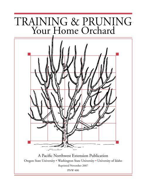 Training and Pruning Your Home Orchard, PNW 400 (Oregon State ...