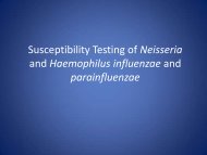 Susceptibility Testing of Neisseria and Haemophilus ... - SWACM