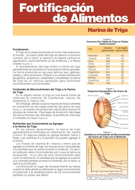 Fundamento El trigo es el cereal producido en forma mÃ¡s extensa ...