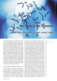 Der Blick in die Telomere - PÃ¤diatrix