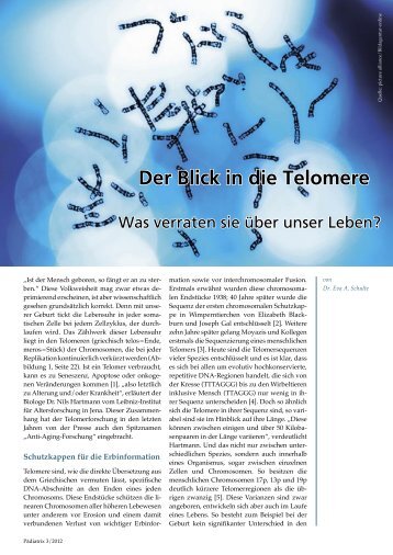 Der Blick in die Telomere - PÃ¤diatrix