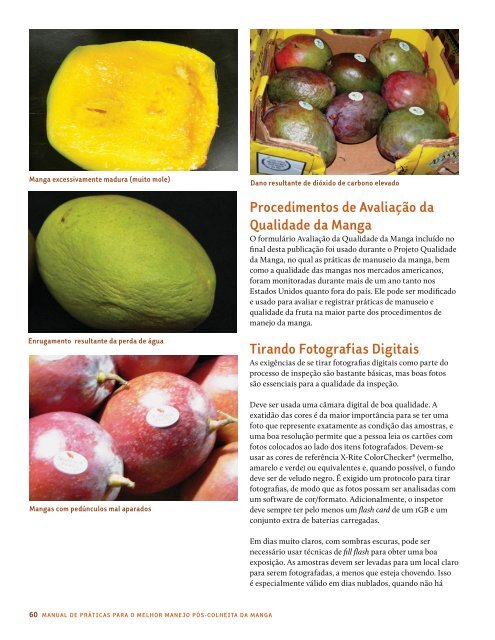 Manual - National Mango Board