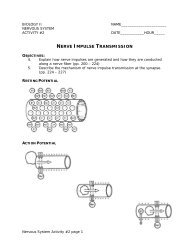 Nerve Impulse Transmission wksht