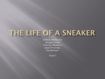 Life Cycle of a Sneaker