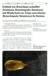 Erstfund von Branchipus schaefferi (Crustacea: Branchiopoda ...